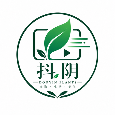 抖阴
